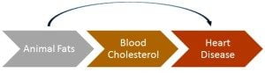 dietary cholesterol to heart disease