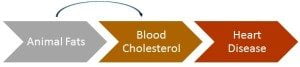 dietary cholesterol to blood cholesterol