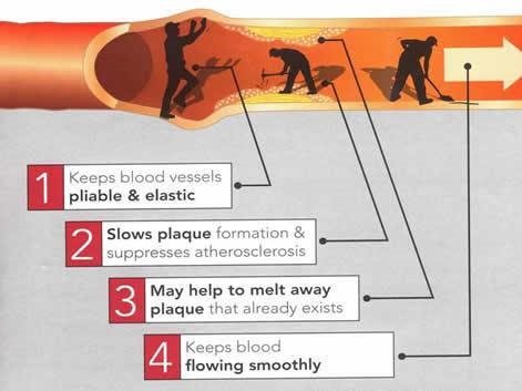 nitric oxide mechanism to lower blood pressure