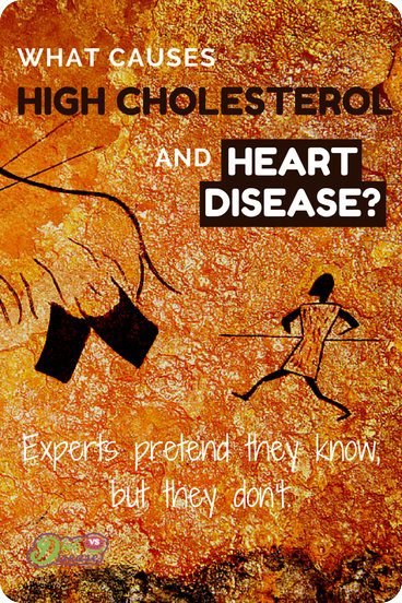 What causes high cholesterol and heart disease