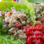 Chicken-Avocado-Salad