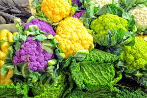 What foods are included in the Autoimmune protocol diet?