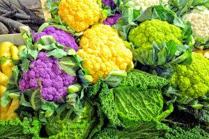 What foods are included in the Autoimmune protocol diet?