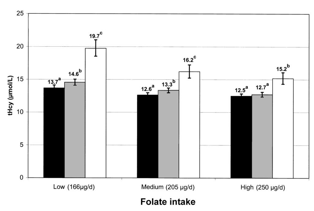 Folate vs homocysteine