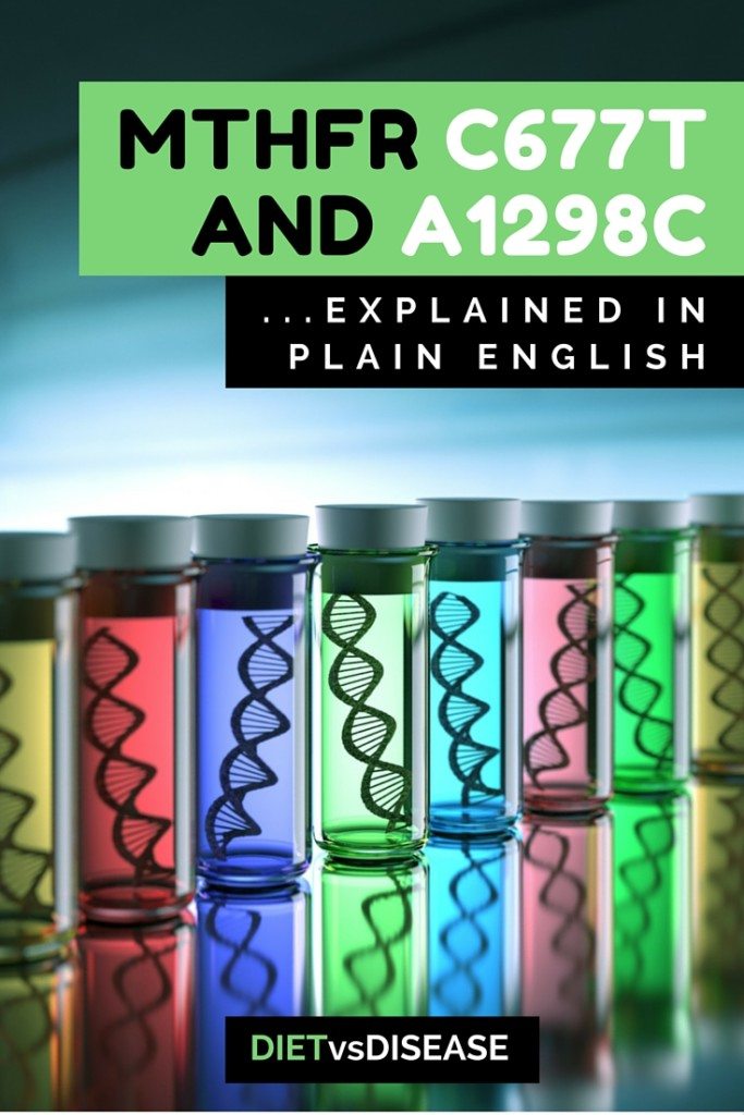 Two of the most studied genetic defects are MTHFR C677T and MTHFR A1298C. This article attempts to clarify what they are, in a way you can understand.