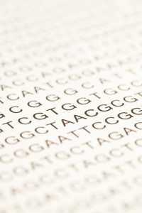 What Is Heterozygous and Homozygous MTHFR?