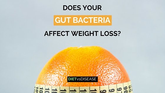 DOES YOUR GUT BACTERIA AFFECT WEIGHT LOSS