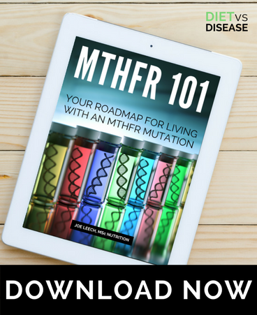 MTHFR ebook ipad