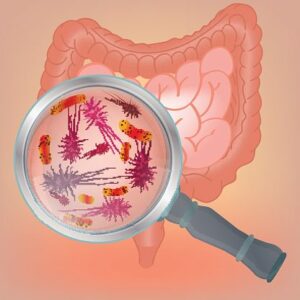 Can Gut Bacteria Affect Weight Loss?