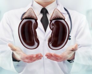 Does-low-carb-affect-kidney-function