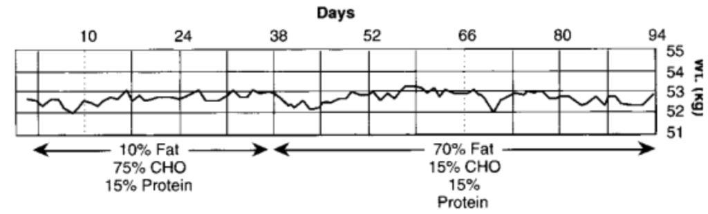 High fat vs high carb