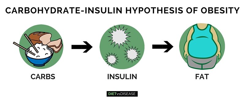 carbohydrate-insulin hypothesis of obesity (CIHO)