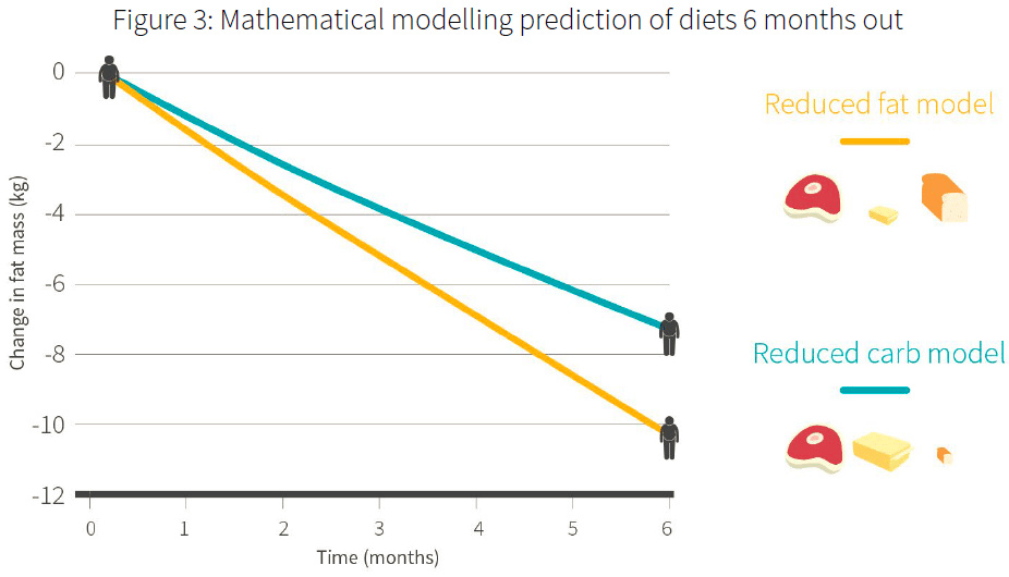 model prediction of low carb vs low fat diet