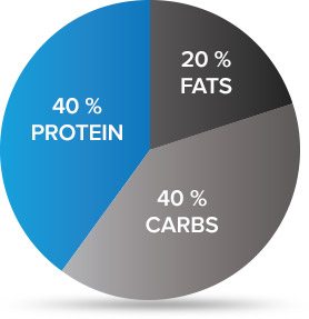 macronutrient ratios carbs fat protein