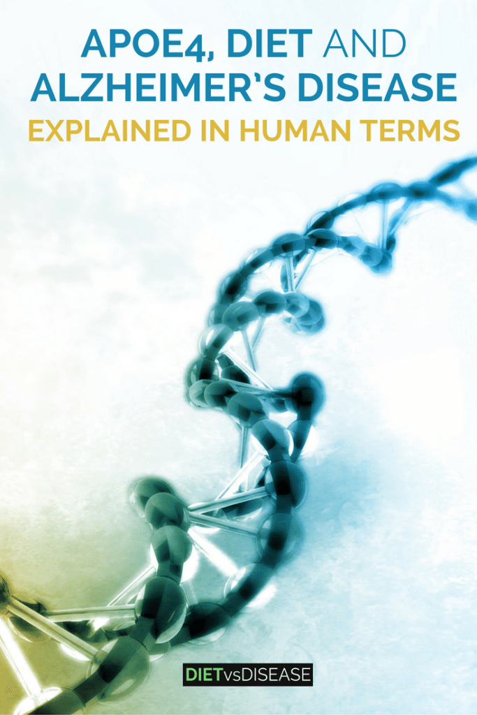 A genetic variant known as APOE4 contributes to Alzheimer's disease risk. This article attempts to explain the link in plain English.