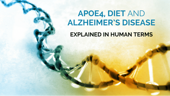 Apoe 4 diet and alzheimers disease