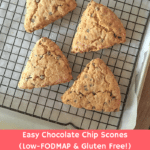 choc-chip-scones-blog-header-fodmap