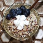 creamy-coconut-milk-quinoa-pudding-fodmap