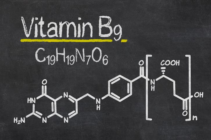 folate vs folic acid vitamin b9