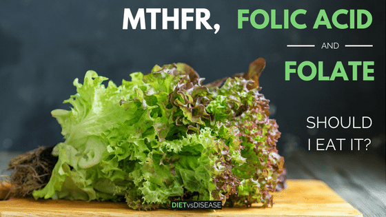 MTHFR folic acid and folate