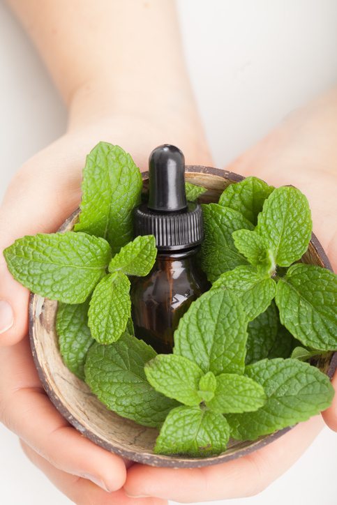 Peppermint Oil