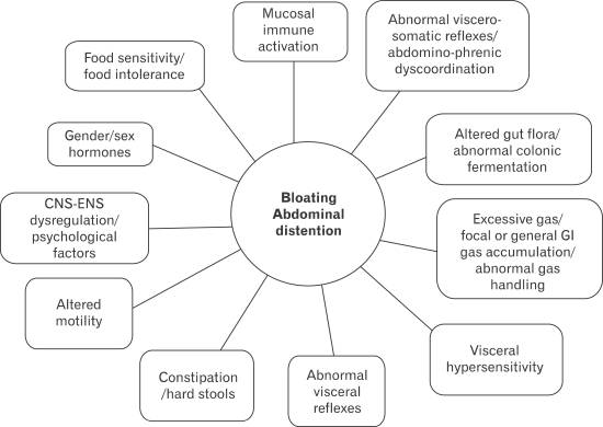 How To Get Rid of Bloating: 9 Strategies Backed By Science