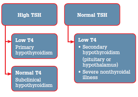 interpretation of hypothyroid test with TSH and T4 levels