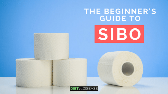 Beginner's guide to sibo