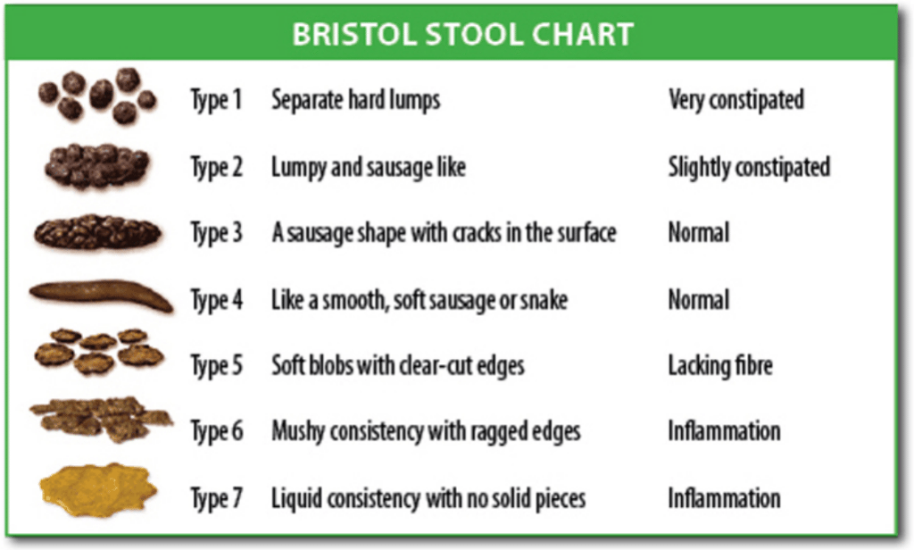 Bristol stool chart constipation