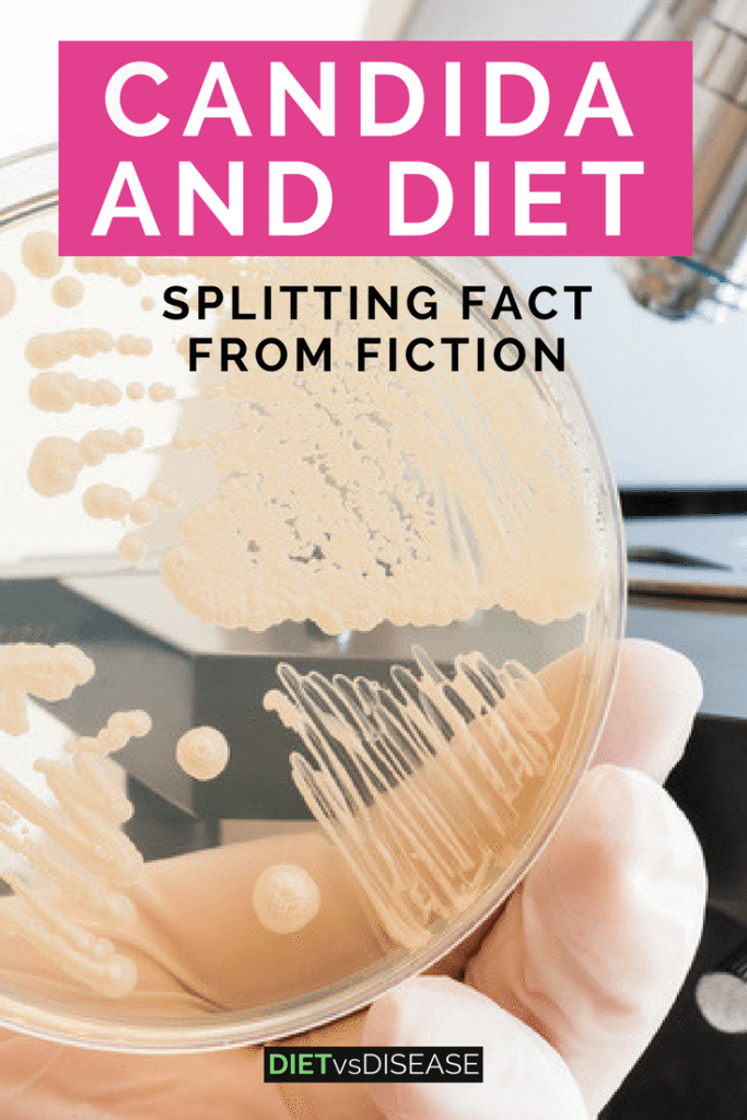 Candida Overgrowth Syndrome is said to cause numerous diseases. But is it a real condition, and does diet play a role? This articles explores the research.