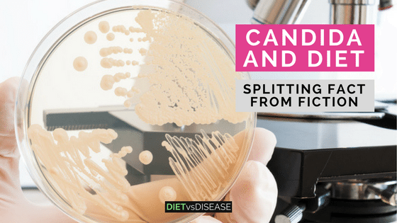 Candida and Diet