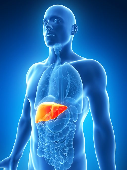 Fructose Malabsorption or Fructose Intolerance?