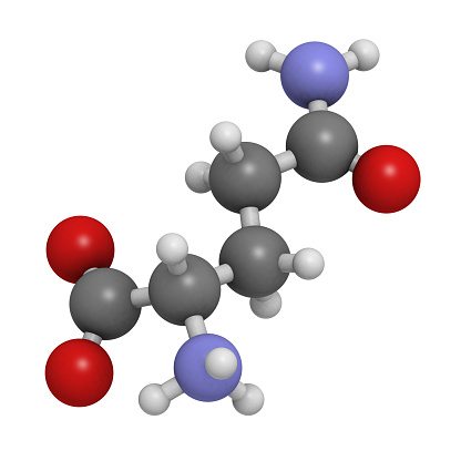 L-Arginine and L-Glutamine