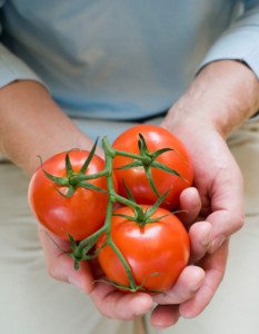 Why the Concerns About Nightshade Vegetables