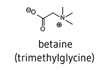 What is Betaine HCl