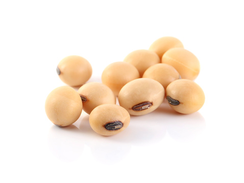 Endometriosis and Soy