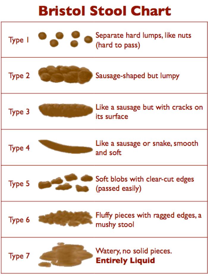 Black, Green or Bloody: What’s Up With My Poop? | Diet vs Disease