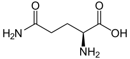 What is L-Glutamine?