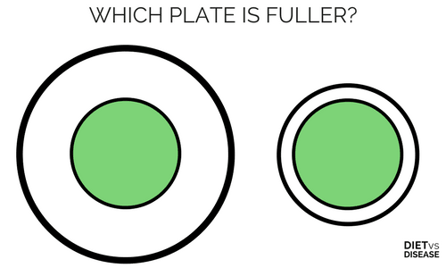 WHICH PLATE IS MORE FULL- Delboeuf Illusion