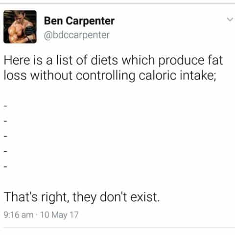 Again, Your Diet Worked Because It Cut Calories