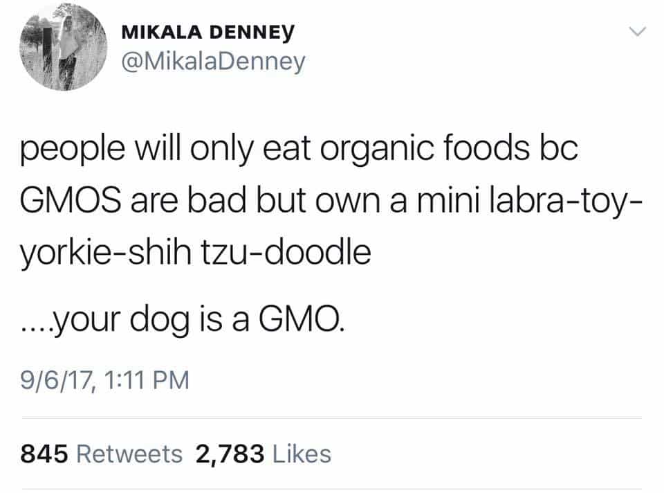 GMOs Are Not Dangerous