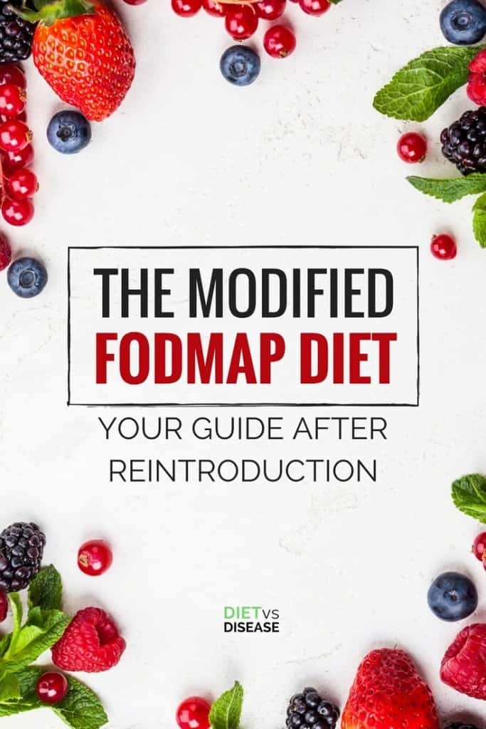 THE MODIFIED FODMAP DIET PIN