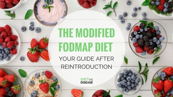 THE MODIFIED FODMAP DIET