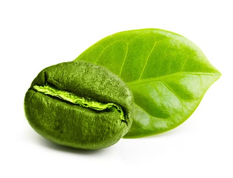 Green Coffee Bean Extract