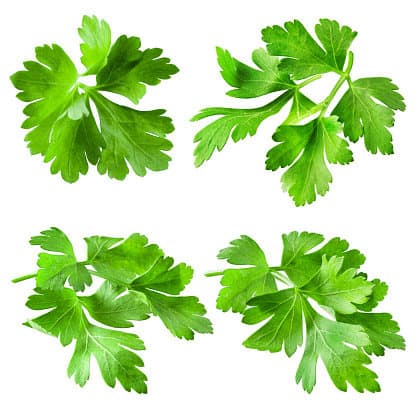 Parsley