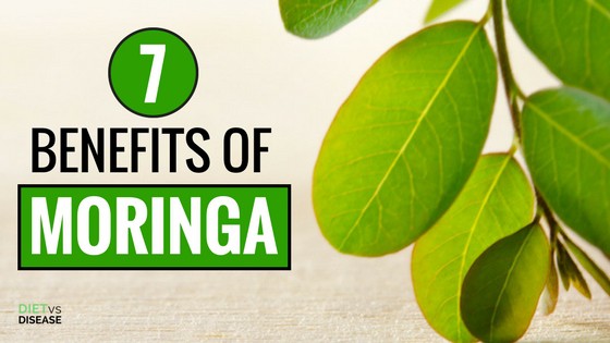 Benefits of Moringa