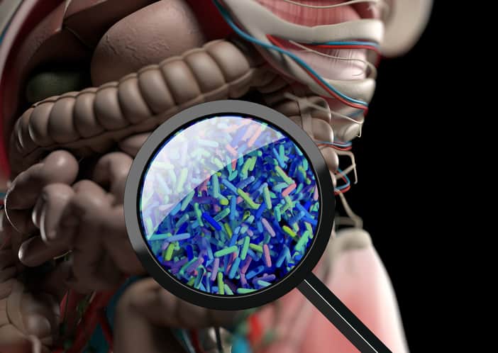 Gut bacteria, microbiome. Bacteria magnified through magnifying glass, concept, representation. 3D illustration.