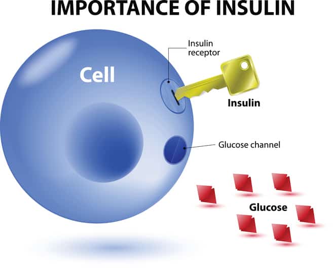 prediabetes and insulin