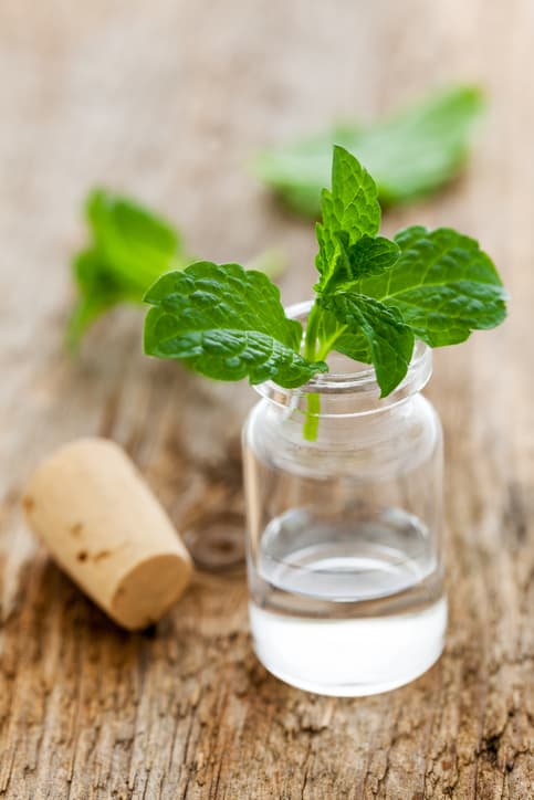 What Is Peppermint Oil?