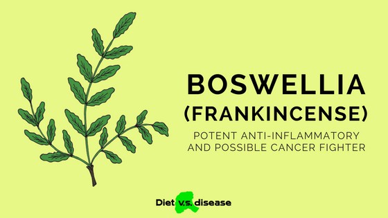 Boswellia Serrata (Frankincense) A Potent Anti-Inflammatory and Possible Cancer Fighter 1